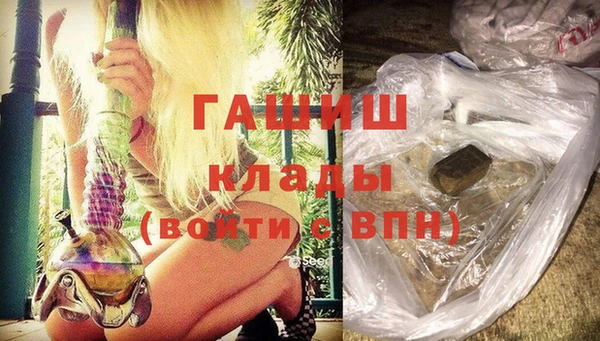 прущие грибы Алзамай